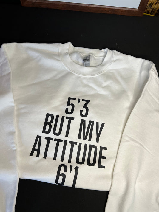 Attitude 6’1